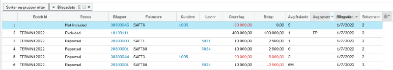 Skjermbilde av rapporten.