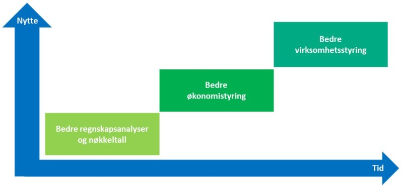 Veileder periodisert regnskapsinfo. Figur 3-1