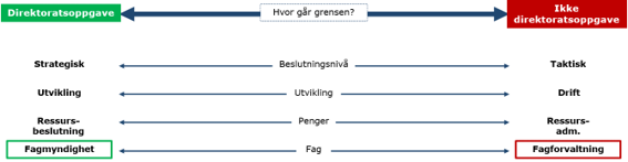 Modellen setter "direktoratsoppgaver" til venstre og "ikke direktoratsoppgaver" til høyre. Under her er det fire dimensjoner som skal avgjøre hvor en oppgave havner på den overordnede dimensjonen. De fire dimensjonene er beslutningsnivå, utvikling, penger og fag.