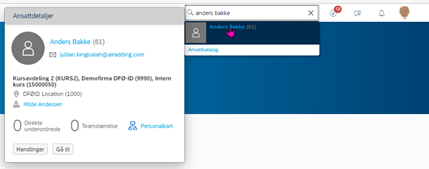 Skjermbilde som viser hvordan du søker etter en ansatt i DFØ HR