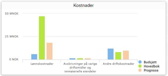 Skjermbilde fra Økonomiinfo