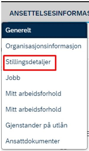 Bildet viser meny med ansettelsesinformasjon.