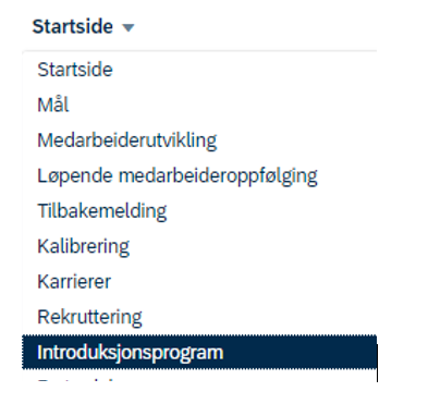 Skjermbilde som viser introduksjonsprogram i DFØ HR
