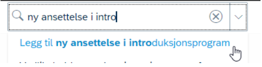 Skjermbilde som viser søk etter "Legg til ny ansettelse" i DFØ HR