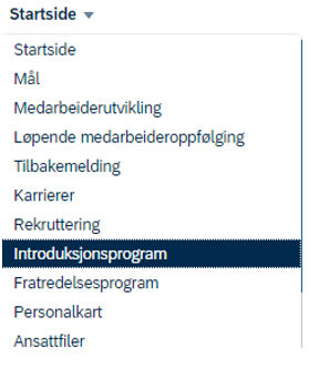 Skjermbilde som viser introduksjonsprogram i DFØ HR