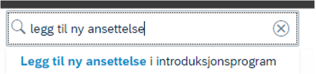 Skjermbilde som viser søk etter "Legg til ny ansettelse" i DFØ HR