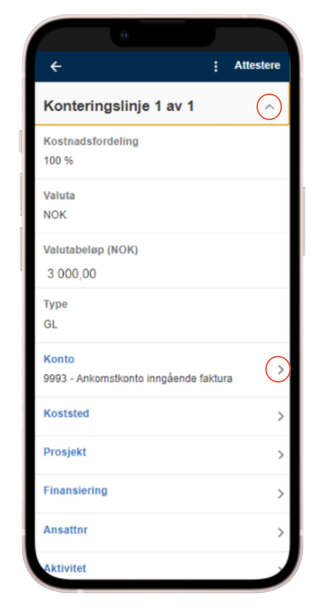 Attestere faktura i appen - velg konteringslinje