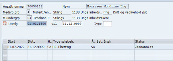 Skjermbilde fra DFØ HR om Infotype 9051
