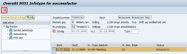 Skjermbilde fra DFØ HR om Infotype 9051