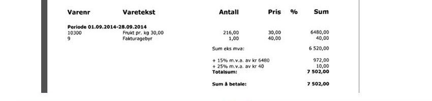 Utdrag av faktura for servering hvor utgiftene ikke omfattes av nettoføringsordningen.