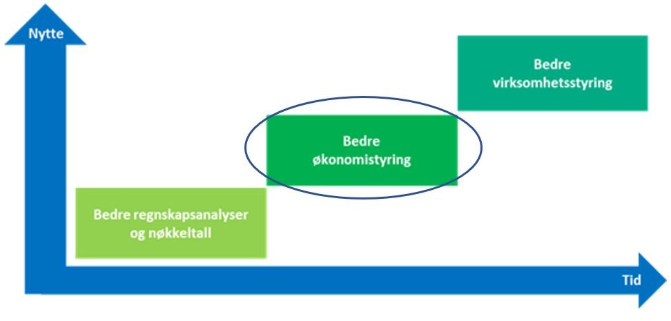 Veileder periodisert regnskapsinfo Figur 7.3-1